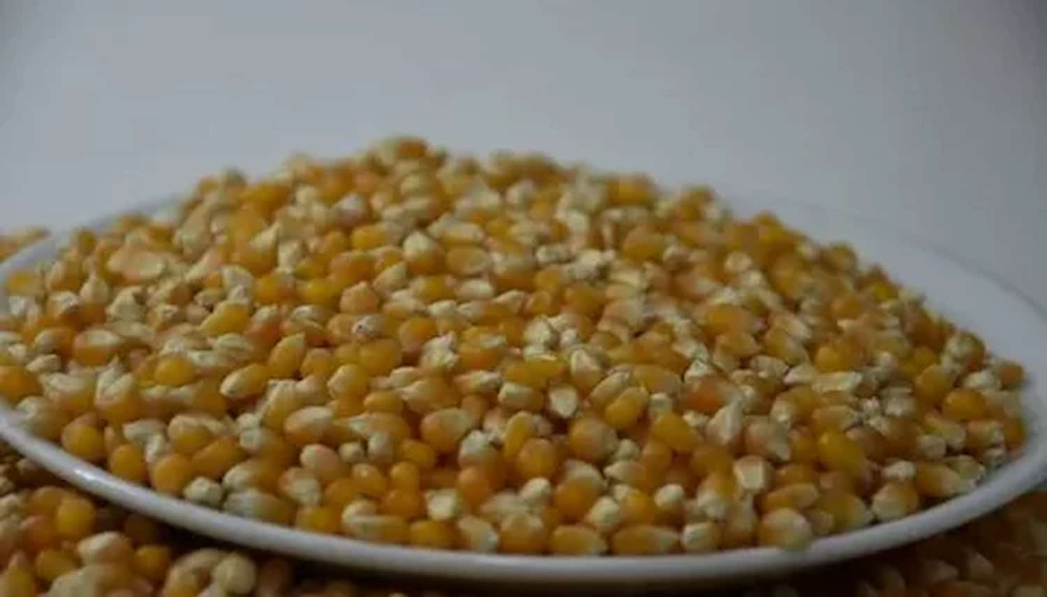 کنسرو ذرت غیر تراریخته انتخابی سالم برای انواع غذاها
